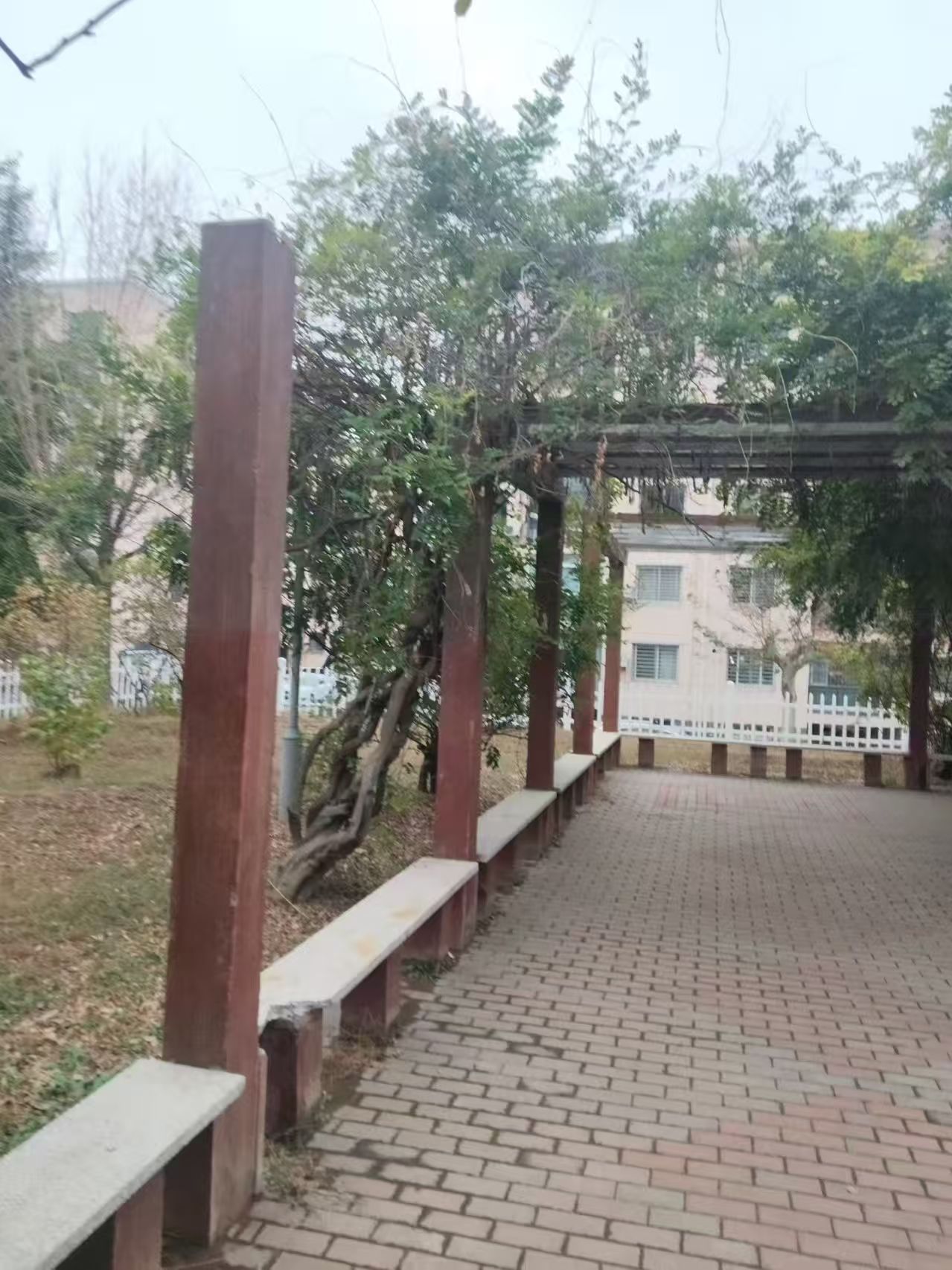 1792480945227519.jpg 微信图片_20261020151549_960_6.jpg