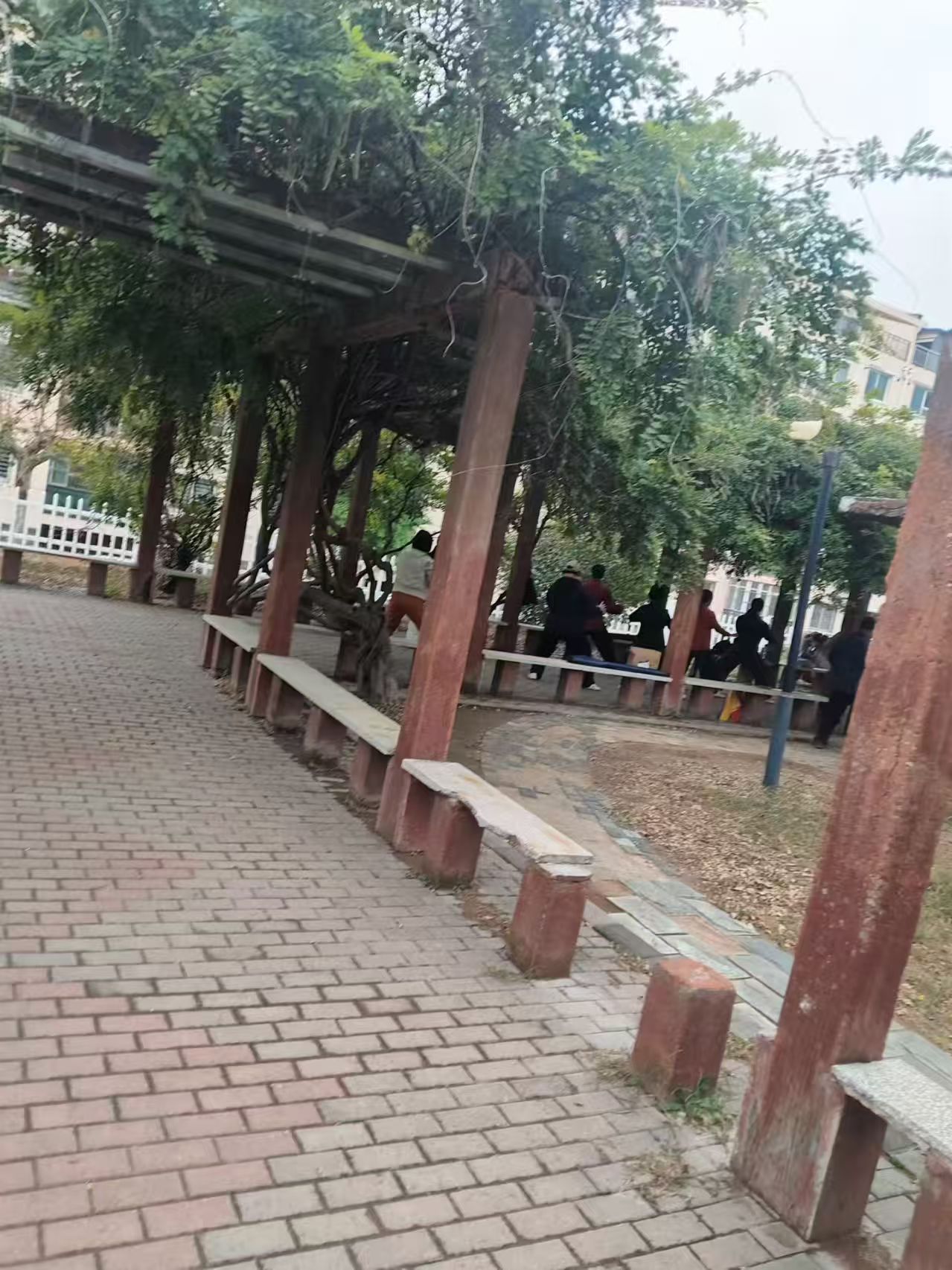 1792480949238223.jpg 微信图片_20261020151548_959_6.jpg