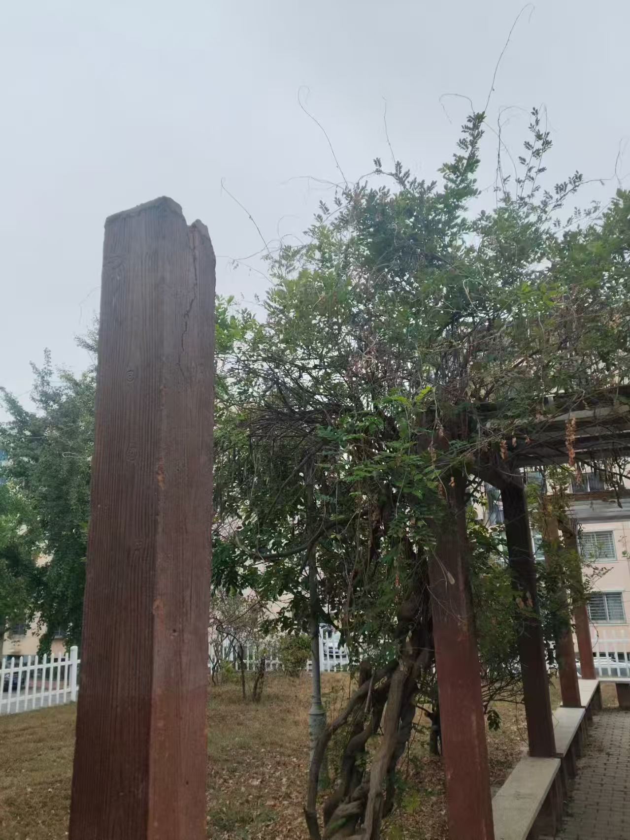 1792480958719342.jpg 微信图片_20261020151546_957_6.jpg